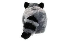 Load image into Gallery viewer, Raccoon