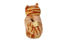 Load image into Gallery viewer, Cat