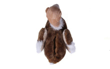 Load image into Gallery viewer, Ostrich