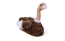 Load image into Gallery viewer, Ostrich