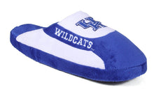 Load image into Gallery viewer, Kentucky Wildcats Low Pro