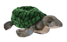 Load image into Gallery viewer, Turtle