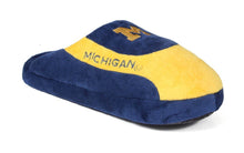 Load image into Gallery viewer, Michigan Wolverines Low Pro