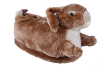 Load image into Gallery viewer, Bunny