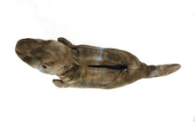 Load image into Gallery viewer, T Rex