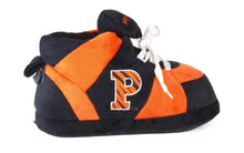 Load image into Gallery viewer, Princeton Tigers
