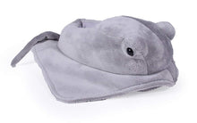 Load image into Gallery viewer, Sting Ray
