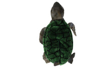 Load image into Gallery viewer, Turtle