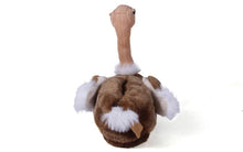 Load image into Gallery viewer, Ostrich