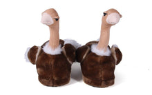 Load image into Gallery viewer, Ostrich