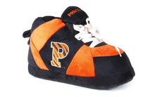 Load image into Gallery viewer, Princeton Tigers