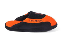 Load image into Gallery viewer, Princeton Tigers Low Pro