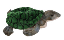 Load image into Gallery viewer, Turtle
