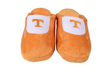 Load image into Gallery viewer, Tennessee Volunteers Low Pro