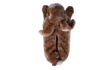 Load image into Gallery viewer, Bunny