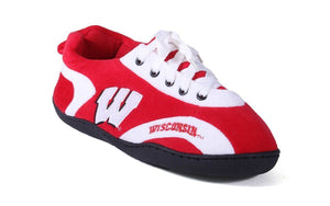 Wisconsin Badgers All Around
