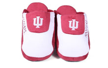 Load image into Gallery viewer, Indiana Hoosiers Low Pro
