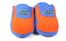 Load image into Gallery viewer, Florida Gators Low Pro
