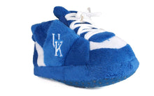 Load image into Gallery viewer, Kentucky Wildcats Baby Slippers
