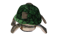 Load image into Gallery viewer, Turtle
