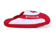 Load image into Gallery viewer, Wisconsin Badgers Low Pro