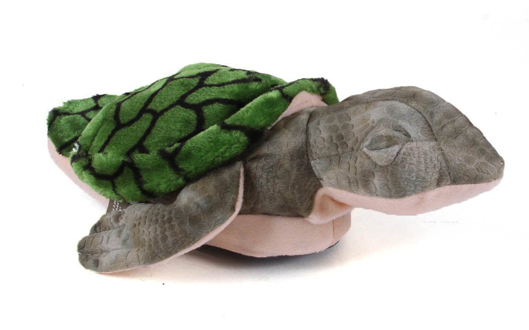 Turtle Open Back Scuff