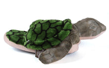 Load image into Gallery viewer, Turtle Open Back Scuff
